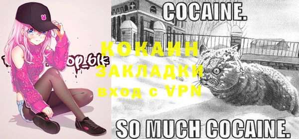 стафф Сясьстрой
