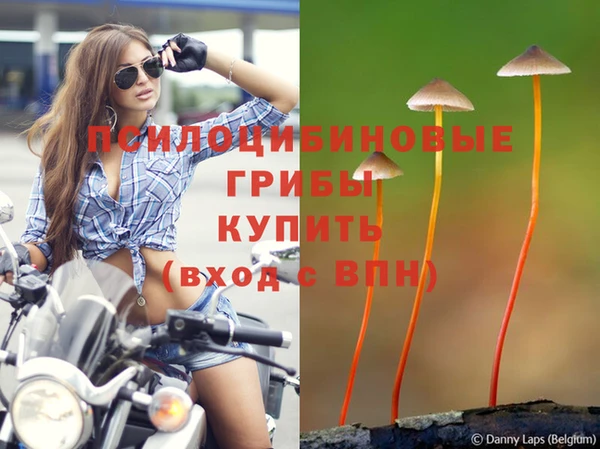 наркотики Волосово