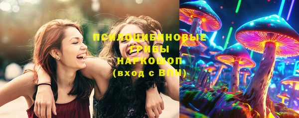 стафф Сясьстрой