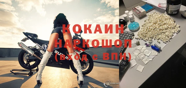 молекула духа Тайга